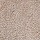 Shaw Floors: Ultimate Expressions 12' Stucco